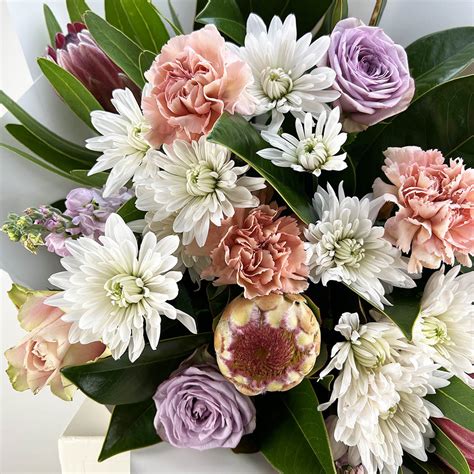 flower delivery banora point  Get Well 15% Off Florists Choice Freebies On Sale Birthday Roses